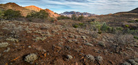 View Towards ABC Ranges