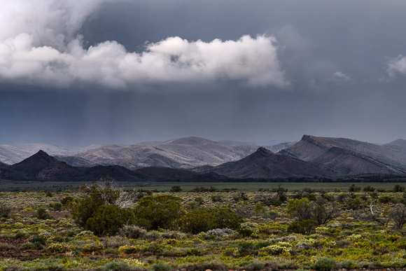 13. Storm at Parachilna Gorge (West), 59cmh x 77cmw