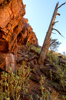 Barrarana Gorge West - Fossil Cliffs