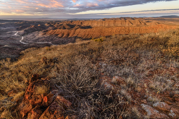 4. Acacia Ridge at Arkaroola Entrance Early Morning – view south-east towards Lake Frome - 59cmh x 77cmw