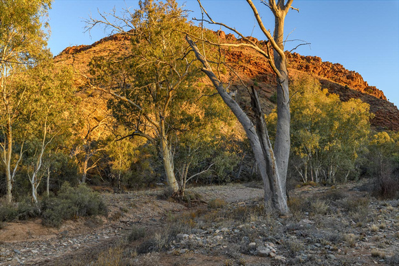 11c. Arkaroola Dry Creekbed, Sunset, 38cmh x 63cmw